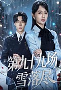 《第九十九场雪落尽》封面