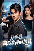 《分手后，高冷女神倒追我》封面