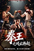 《拳王之风云再起》封面