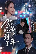 《你迟到了很多年》封面