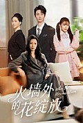 《火墙外的花绽放》封面