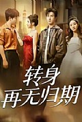 《转身再无归期》封面