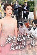 《龙生龙凤生凤，蛇鼠总一窝》封面