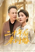 《二十年后来闪婚》封面