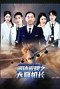 《退休返聘之大夏机长》封面