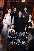 《前尘燃尽不再见》封面