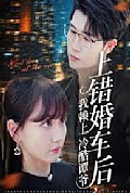 《上错婚车后我赖上冷酷谭爷》封面