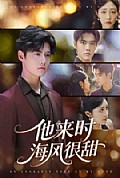 《他来时海风很甜》封面