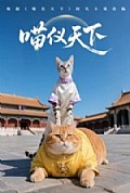 《喵仪天下》封面