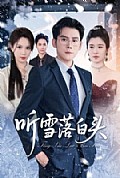 《听雪落白头》封面