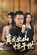 《真龙出山惊于世》封面