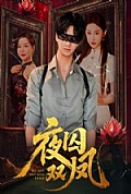 《夜囚双凤》封面