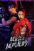 《双龙会之凤鸣龙吟》封面