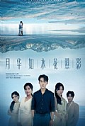 《月华如水花照影》封面