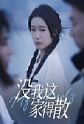 《没我这家得散》封面