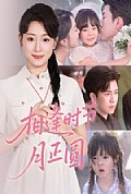 《相逢时节月正圆》封面