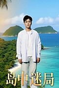 《岛中迷局》封面