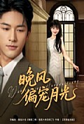 《晚风偏宠月光》封面