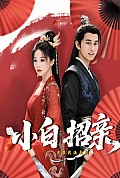 《小白招亲》封面