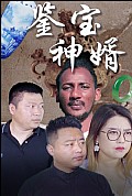 《鉴宝神婿》封面