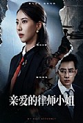 《亲爱的律师小姐》封面