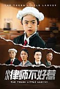 《律师不好惹》封面
