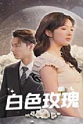 《白色玫瑰短剧版》封面