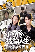 《小可怜被偷人生，顶级家族来团宠》封面