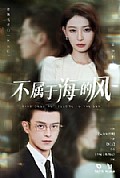 《不属于海的风》封面