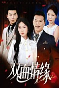 《双面情缘》封面