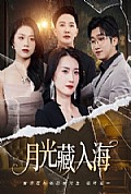 《月光藏入海》封面
