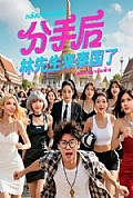 《分手后林先生来泰国了》封面