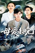 《母爱未晚》封面
