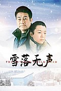 《雪落无声》封面