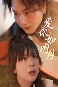 《爱你如明月》封面