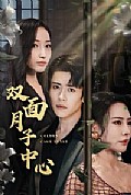《双面月子中心》封面