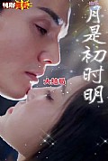 《月是初时明》封面