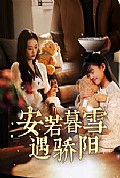 《安若暮雪遇骄阳》封面