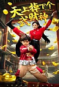 《天上掉下个武财神》封面