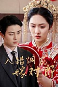 《入错洞房嫁对郎》封面