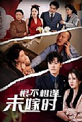 《恨不相逢未嫁时30集》封面