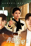《再也不会相见》封面