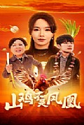 《山鸡不是凤凰》封面