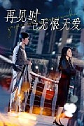 《再见时已无恨无爱》封面