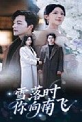 《雪落时你向南飞》封面