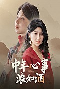 《中年心事浓如酒》封面