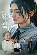 《新遗失的温柔》封面