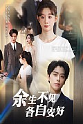 《余生不见各自安好》封面