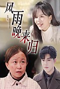 《风雨晚来归》封面