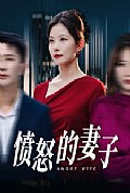 《愤怒的妻子》封面